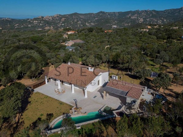 casa indipendente in vendita ad Arzachena