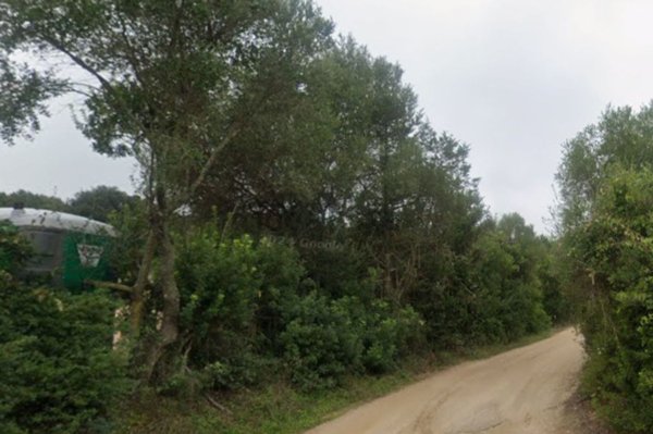 casa indipendente in vendita ad Arzachena