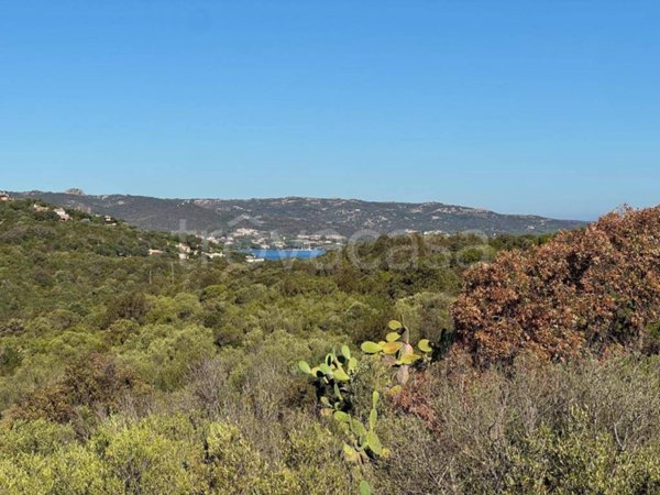 terreno agricolo in vendita ad Arzachena