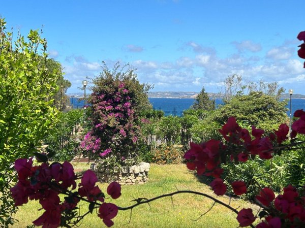 casa indipendente in vendita ad Arzachena in zona Baja Sardinia
