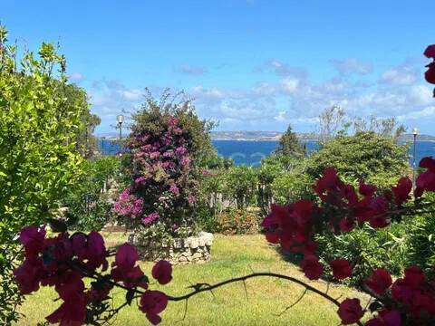 casa indipendente in vendita ad Arzachena in zona Baja Sardinia