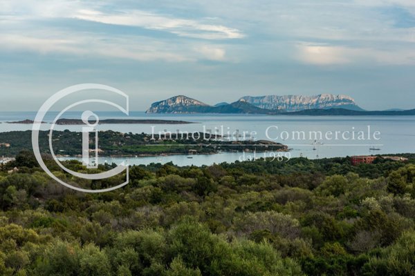 casa indipendente in vendita ad Arzachena in zona Abbiadori