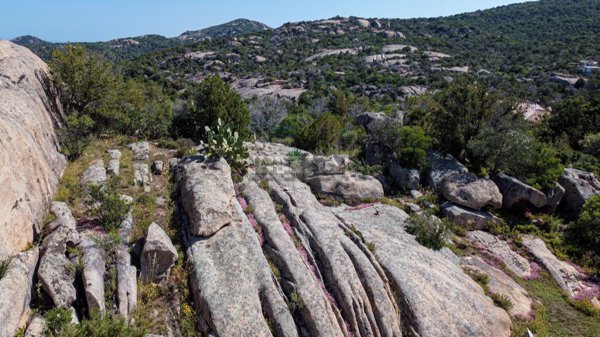 casa indipendente in vendita ad Arzachena