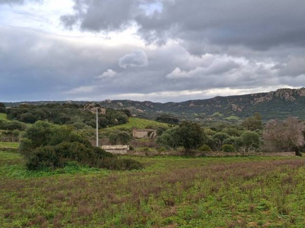 casa indipendente in vendita ad Arzachena