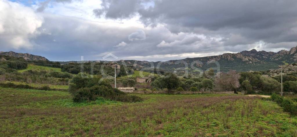 casa indipendente in vendita ad Arzachena