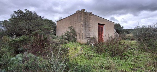 terreno agricolo in vendita ad Arzachena
