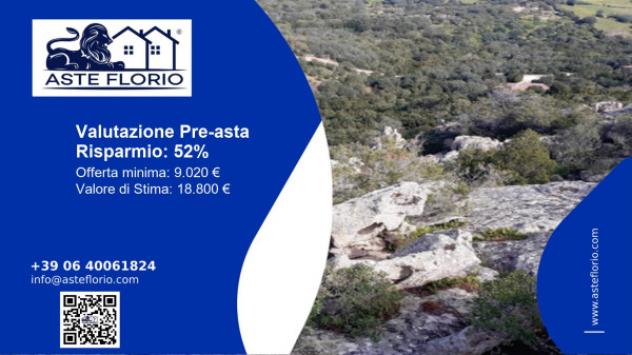 terreno agricolo in vendita ad Arzachena