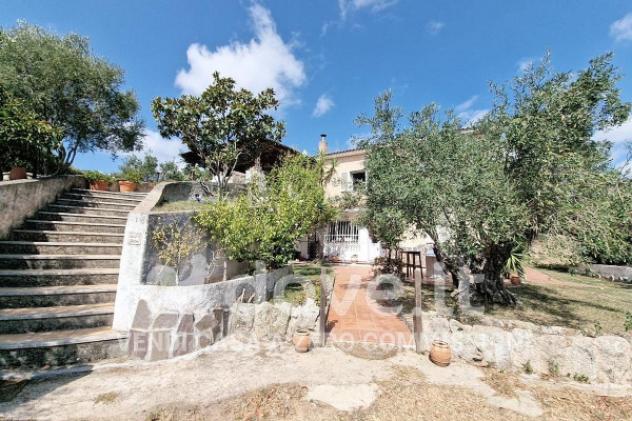 casa indipendente in vendita ad Arzachena in zona Porto Cervo