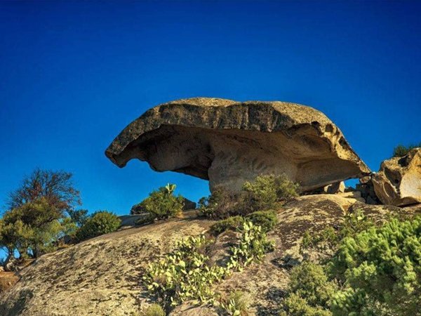 appartamento in vendita ad Arzachena
