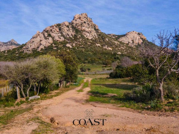 casale in vendita ad Arzachena