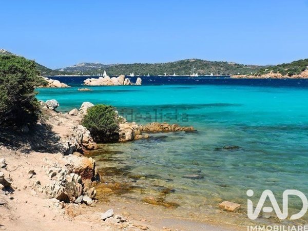 appartamento in vendita ad Arzachena in zona Cannigione
