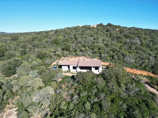 casa indipendente in vendita ad Arzachena