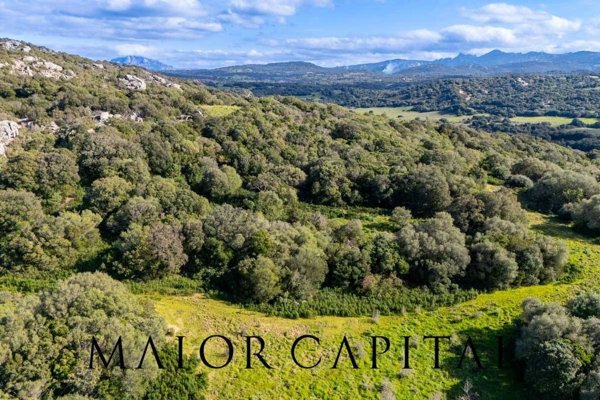 terreno agricolo in vendita ad Arzachena
