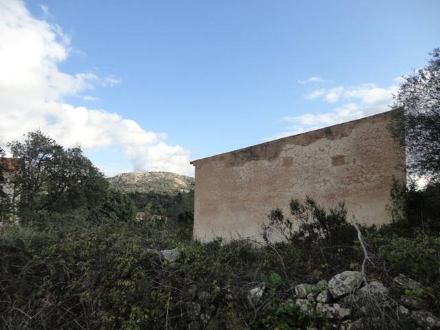 terreno agricolo in vendita ad Arzachena