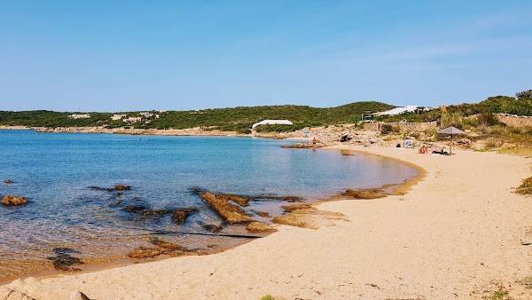 multiproprieta in vendita ad Arzachena in zona Porto Cervo
