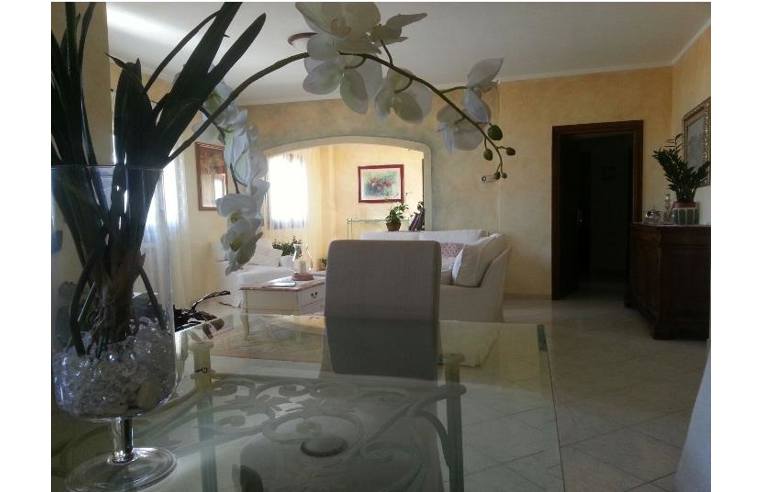 casa indipendente in vendita ad Arzachena