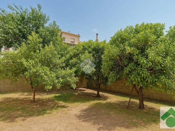 casa indipendente in vendita ad Arzachena