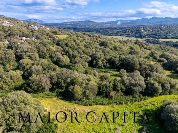 terreno edificabile in vendita ad Arzachena