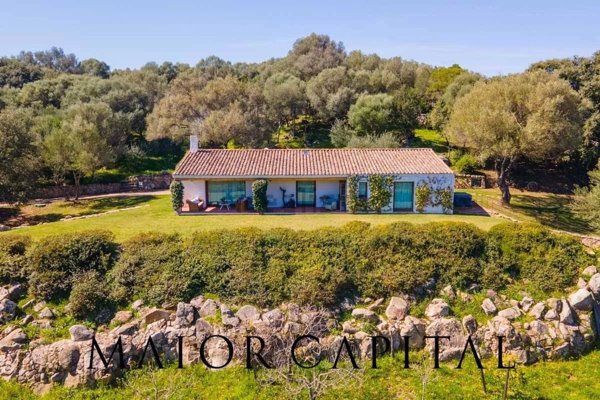 casa indipendente in vendita ad Arzachena