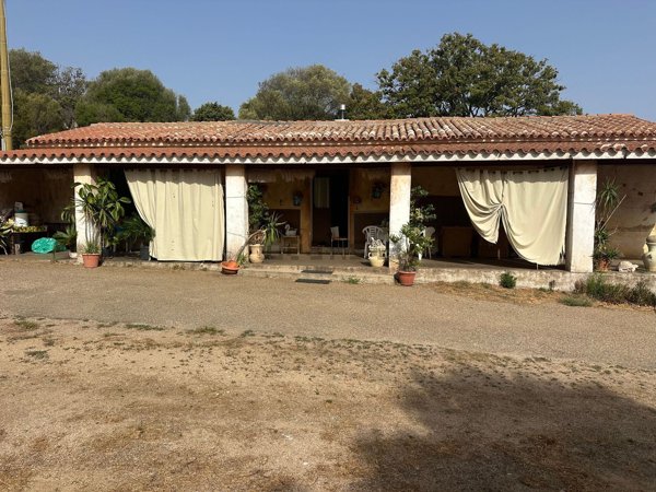 esavano in vendita ad Arzachena in zona Cannigione