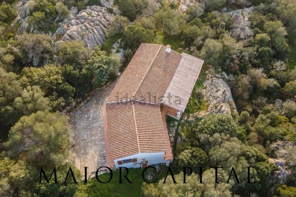 casa indipendente in vendita ad Arzachena in zona Cannigione