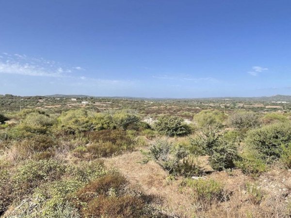casa indipendente in vendita ad Arzachena
