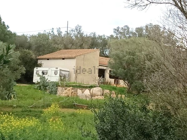 azienda agricola in vendita ad Arzachena