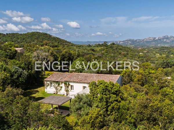 casa indipendente in vendita ad Arzachena