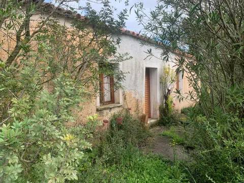 casa indipendente in vendita ad Arzachena in zona Porto Cervo
