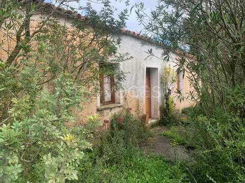 casa indipendente in vendita ad Arzachena in zona Porto Cervo