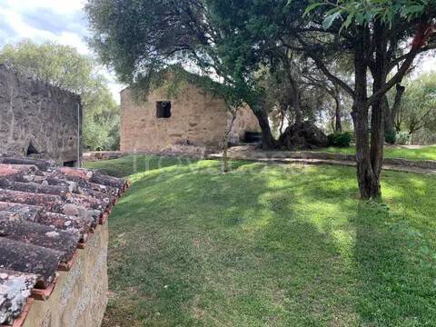 casa indipendente in vendita ad Arzachena