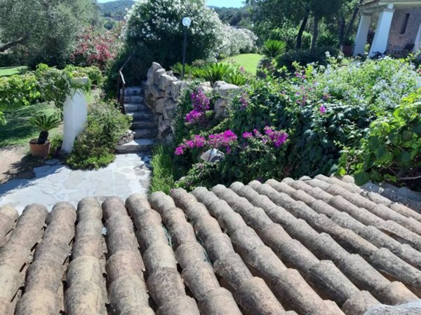 casa indipendente in vendita ad Arzachena in zona Abbiadori
