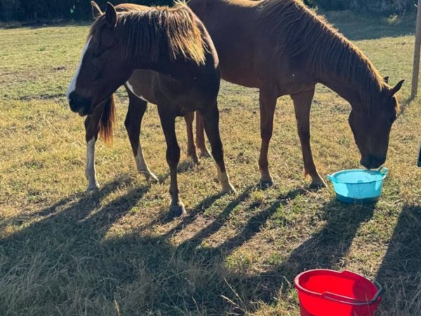 casa indipendente in vendita ad Arzachena in zona Baja Sardinia