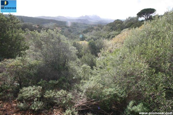terreno agricolo in vendita ad Arzachena in zona Porto Cervo