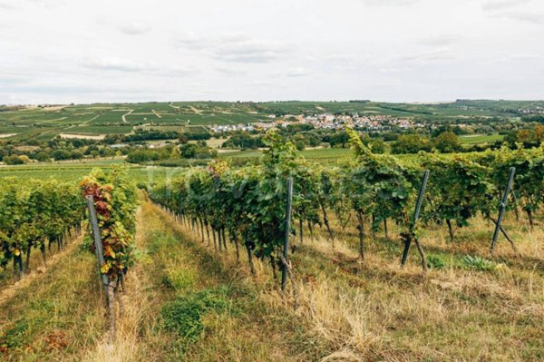 terreno agricolo in vendita ad Arzachena