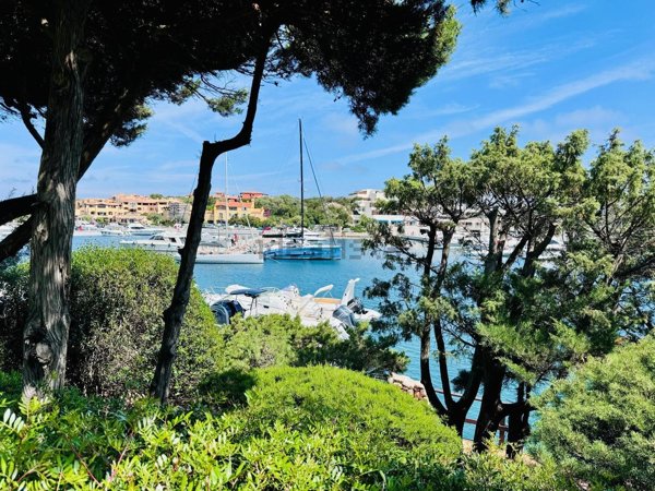 appartamento in vendita ad Arzachena in zona Porto Cervo