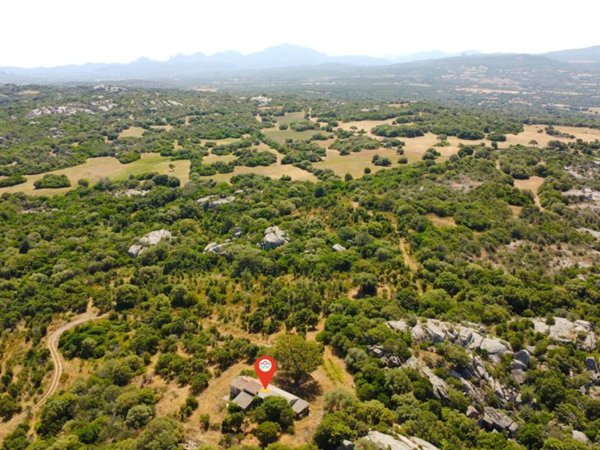 casa indipendente in vendita ad Arzachena