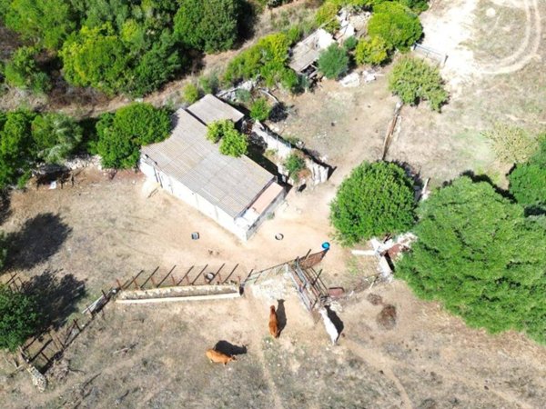 terreno agricolo in vendita ad Arzachena