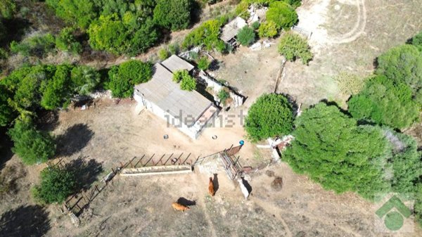 terreno agricolo in vendita ad Arzachena
