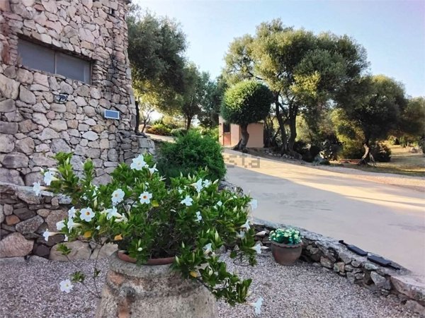 casa indipendente in vendita ad Arzachena in zona Porto Cervo