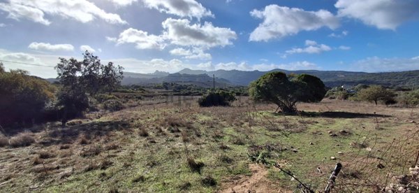 terreno agricolo in vendita ad Arzachena in zona Abbiadori