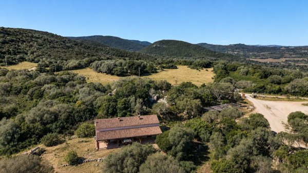 casa indipendente in vendita ad Arzachena