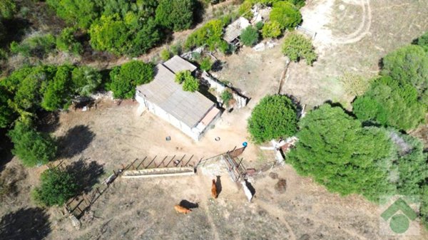 terreno agricolo in vendita ad Arzachena in zona Abbiadori