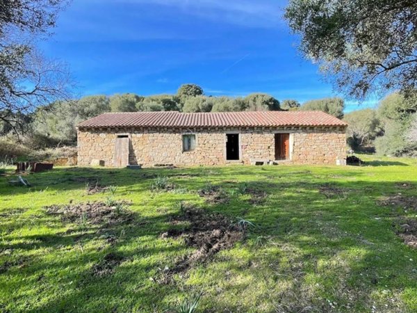 casa indipendente in vendita ad Arzachena in zona Abbiadori