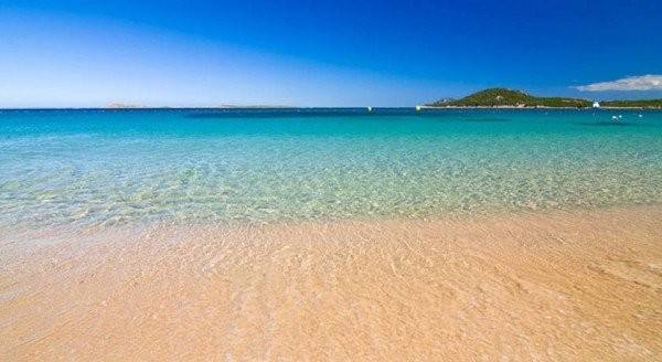 multiproprieta in vendita ad Arzachena in zona Cannigione