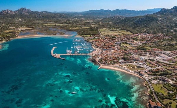 casa indipendente in vendita ad Arzachena in zona Cannigione