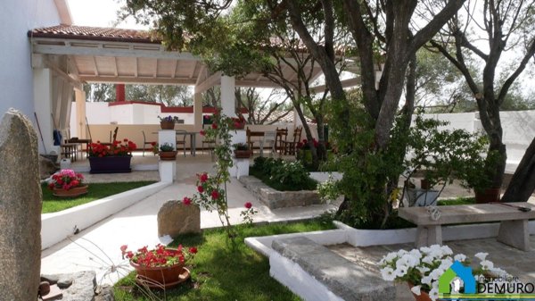 casa indipendente in vendita ad Arzachena