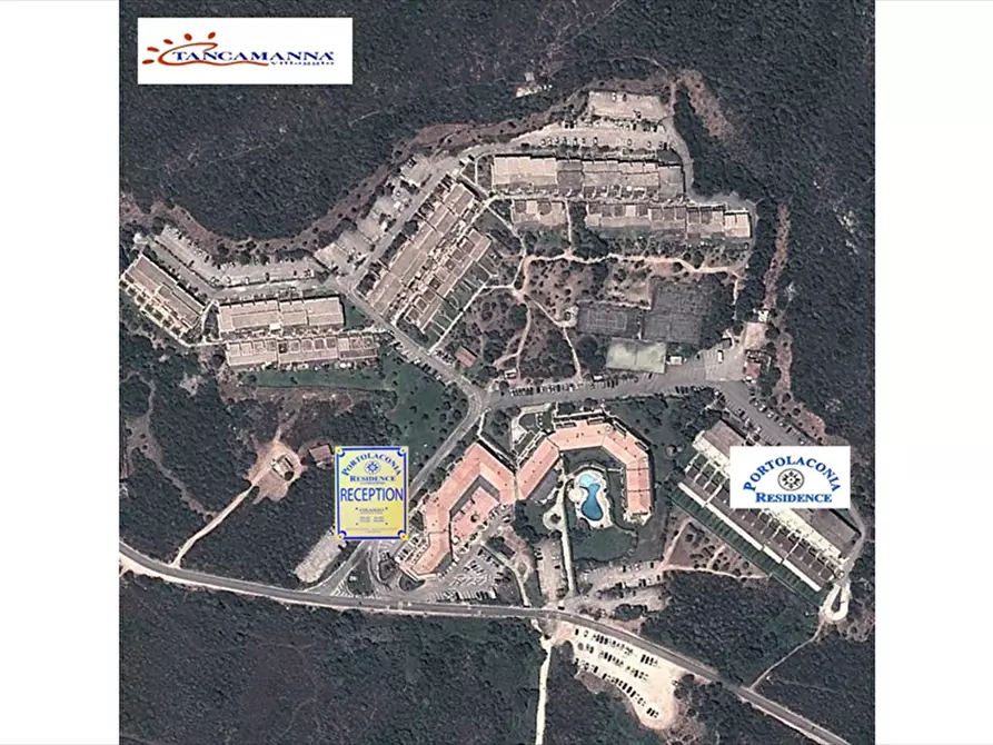 multiproprieta in vendita ad Arzachena in zona Cannigione