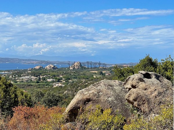 casa indipendente in vendita ad Arzachena in zona Cannigione