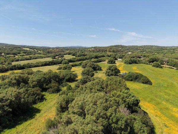 azienda agricola in vendita ad Arzachena